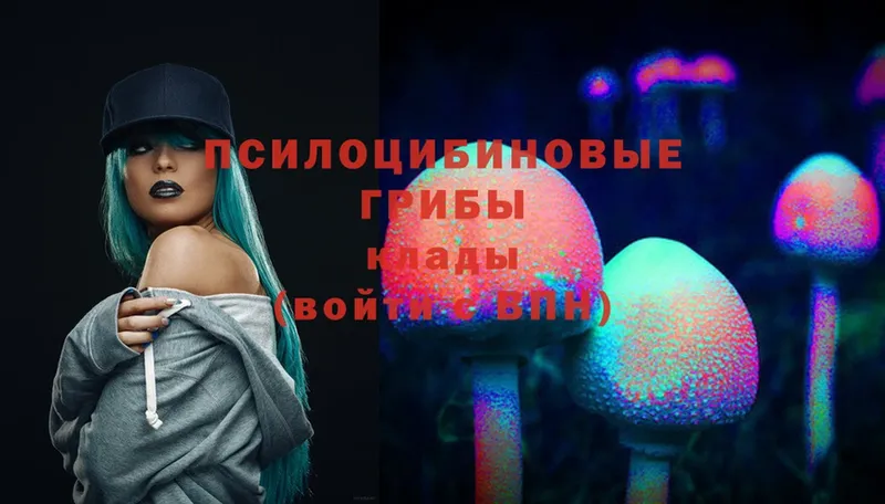 Псилоцибиновые грибы MAGIC MUSHROOMS  Тулун 